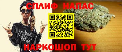 хмурый Тара