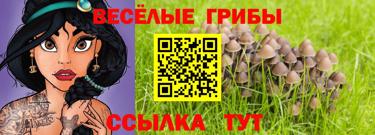 Галлюциногенные грибы ЛСД Оренбург